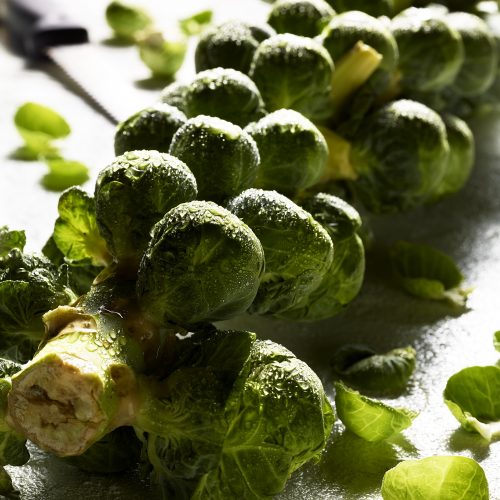 Brussle Sprout Stalk